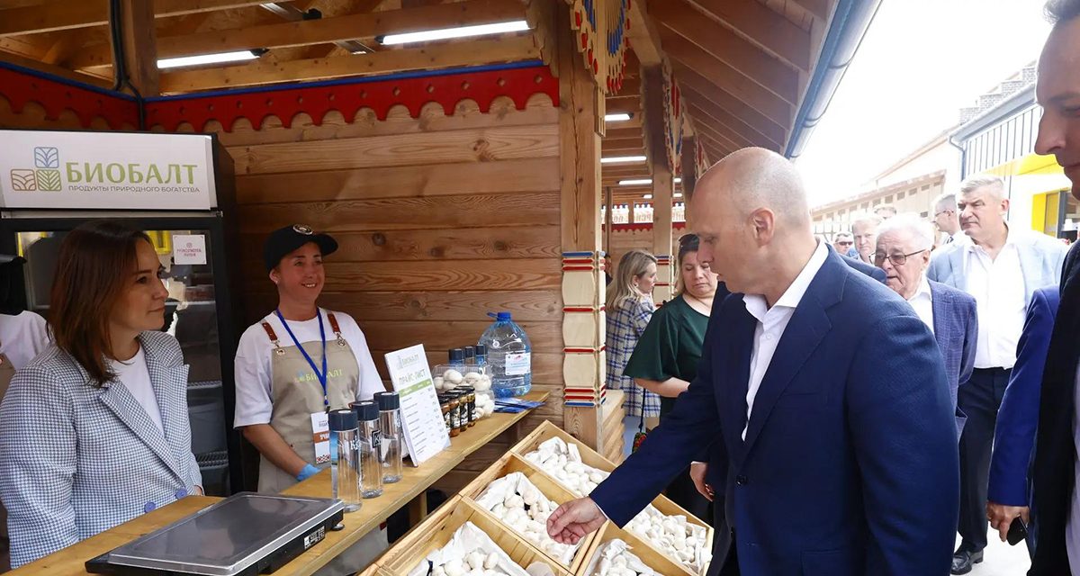 В Холмогоровке открыли ярмарку, где больше 30 фермерских хозяйств продают продукты без посредников