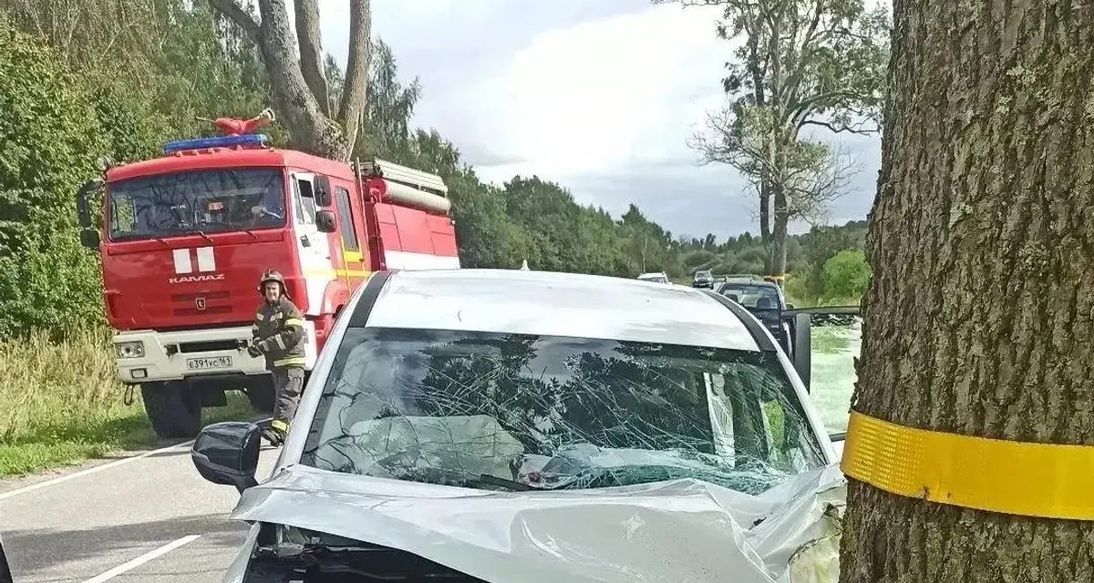 Спасатели деблокировали женщину из машины после наезда на дерево под Калининградом