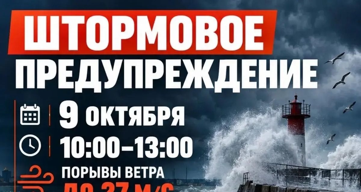 В Калининградской области 9 октября ветер усилится до 27 м/с